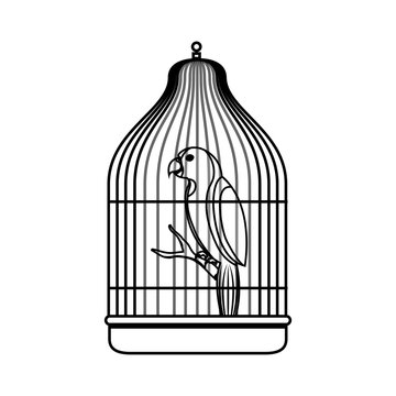 cute bird parrot in cage mascot vector illustration design