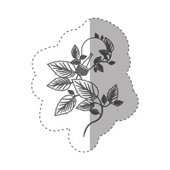 Obraz premium sticker with grayscale contour with light bulbs and creeper plant vector illustration