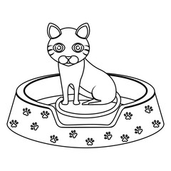 cute kitty mascot icon vector illustration design
