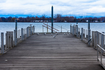 Cold cloudy afternoon at Toronto Harbourfront Doc. Winter 2015. Facing on of the great lakes - Ontario. Birds are enjoying their time chirping with friends.