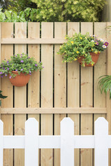 flowers growing along wooden fence in garden