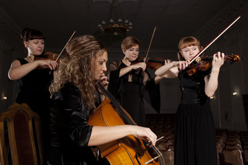 Musician play violin on dark