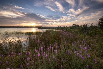 Fototapeta premium Sunet from Fitz roy lake in Southern highlands NSW.