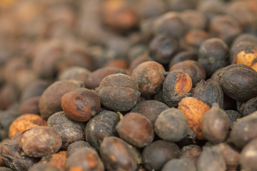 Dried coffee beans for roasting