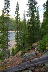 Nature of the Jefferson Lake Recreation Area, Colorado
