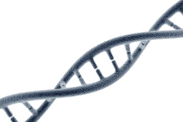 DNA