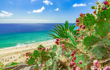 Strand von Esquinzo, Fuerteventura, kanarische Inseln, (Kanaren) Spanien - obrazy, fototapety, plakaty