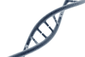 DNA
