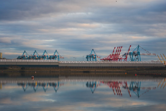 Cranes On Crosby