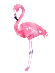 Watercolor flamingo. Painted image. Vector illustration - obrazy, fototapety, plakaty