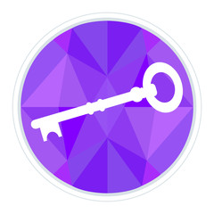 Key, set geometric icons