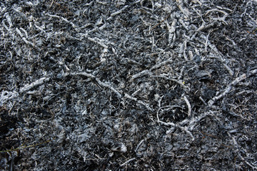 Background ashes. Copy space.