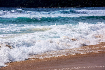 Breaking wave. Empty green wave rolls through to beach with no surfer in view