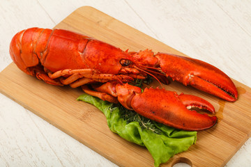 Lobster