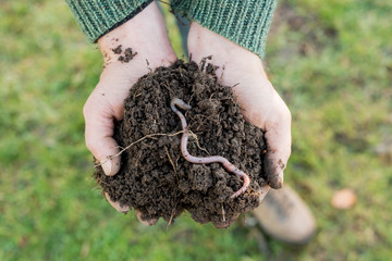 Earthworm on Heap of Soil on Hands - obrazy, fototapety, plakaty