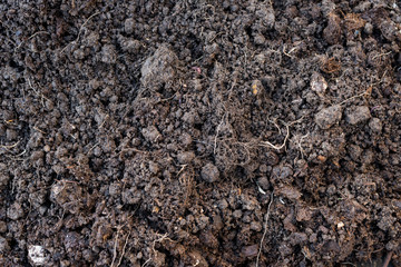 Patch of Soil for Backgrounds