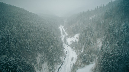 flying over the forest in winter. bird's-eye view