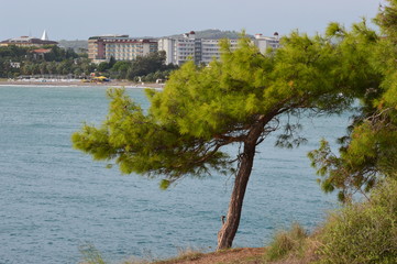 Obraz premium Sea