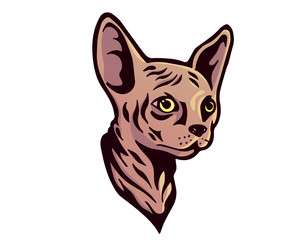 Rare Cat Breed Illustration - Sphynx