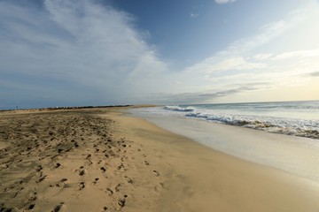   beach Santa Maria, Sal Island , CAPE VERDE















