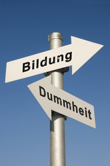 Bildung oder Dummheit Symbolfoto