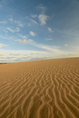   beach Santa Maria, Sal Island , CAPE VERDE













