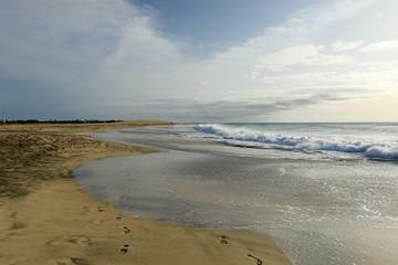   beach Santa Maria, Sal Island , CAPE VERDE














