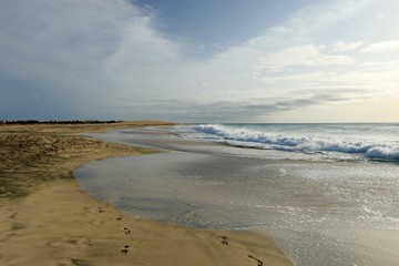   beach Santa Maria, Sal Island , CAPE VERDE














