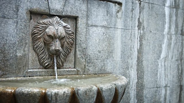 Small decorative fountain in the form of a lion's head