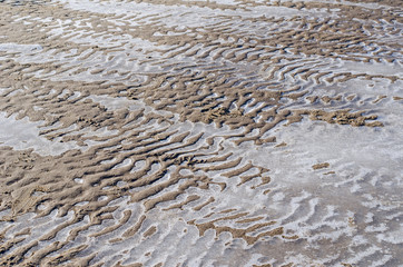 small sand dunes at the shore overlaid with frozen water of the Baltic sea
