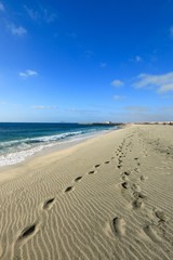 Fototapeta na wymiar beach Santa Maria, Sal Island , CAPE VERDE