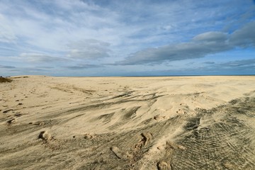  beach Santa Maria, Sal Island , CAPE VERDE









