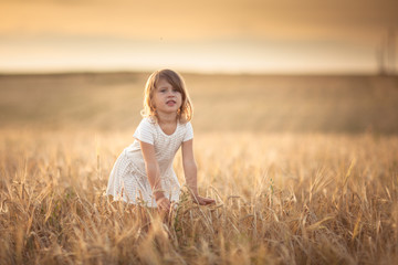 Fototapeta na wymiar Girl walks in field with rye at sunset, lifestyle