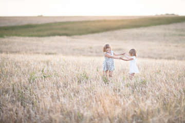 Naklejka na ściany i meble Emotional sisters on wheat field at sunset
