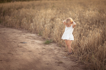 Naklejka na ściany i meble Kid toddler on wheat field at sunset, lifestyle