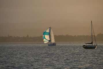 Lonely yachts in an ocean at evening time