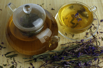 Tea from the flowers of blooming sally in a glass pot 