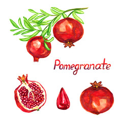 Pomegranate branch with fruits, fruit and cut slice, isolated hand painted watercolor illustration