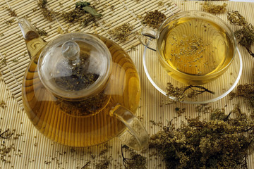 Glass teapot with tea of elderflower