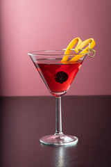 fancy martini gin tonic cocktail drink on plain background fine rustic garnish alcohol