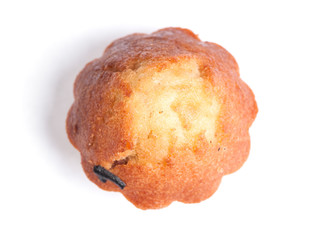 Muffin cake isolated