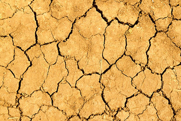Dry cracked earth