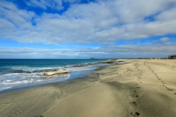 beach Santa Maria, Sal Island , CAPE VERDE


