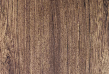 pattern detail of teak wood texture