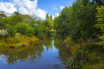 Fototapeta premium Puhoi River Auckland New Zealand