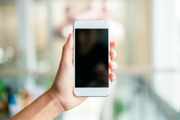 Payment transaction with smartphone