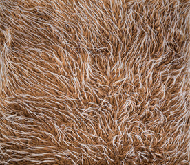 texture of fabrics resemble  wool