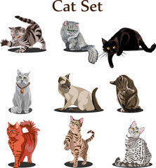 Cat Set