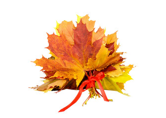 Bouquet of autumn leaves tied with red ribbon