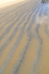 Rippled texture on wet sand